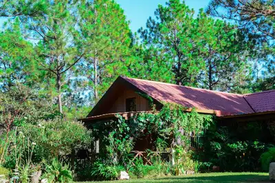 Image de Belle cabane sur une forêt incroyable à Perquin