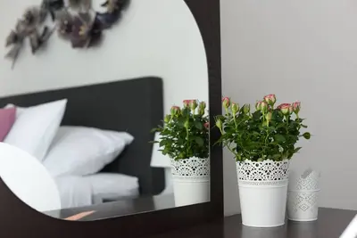 Image de Appartement Rusula Red
