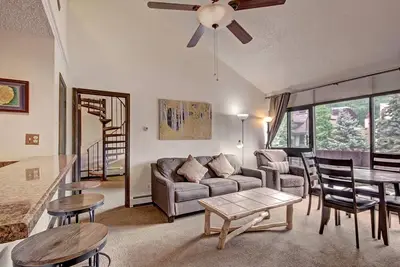 Sf204 Animaux bienvenus Ski in Ski out Condo avec Loft