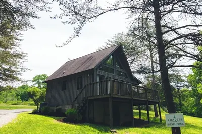 Image de Cône de pin | Hocking Hills