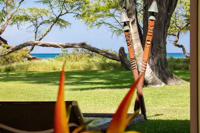 Image de Suite AlohaAKU CoCoPalm2, front de mer 1b / 1Bath, Lr avec kit complet, lanai, WiFi, Ac