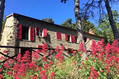 Image de Il Rifugio, une ferme à Cortona avec vue panoramique sur le lac Trasimène