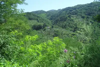 Image de Maison de détente dans le vert de la Toscane