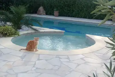 Image de Gîte l’olivade Pour 4 pers piscine privée