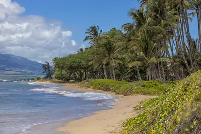 Image de Waiohuli Beach Hale # D-122 Complexe Oceanfront 1Bd / 1Ba, Tarifs avantageux, 4 personnes