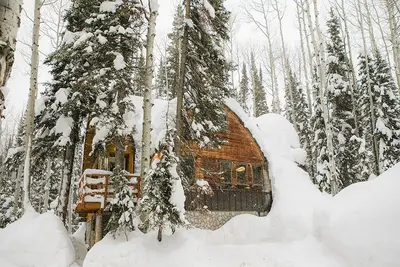 Image de Blanche's Retreat - Cabane spacieuse dans les arbres près de Silver Fork Lodge