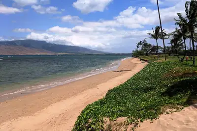 Image de Spécial été! Maui Sunset 403b ~ Charmant et se sent comme à la maison!