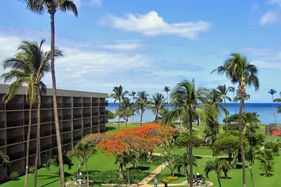 Image de Vues sur la plage et la piscine, de nouvelles rénovations rendent ce départ difficile