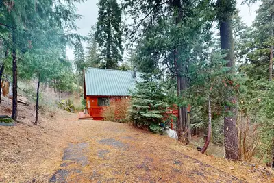 Image de Cabane rustique et favorable aux chiens dans la forêt - parfaite pour les escapades toute l'année