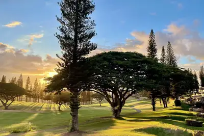 Image de Mes Séjours Parfaits: Seulement 159 $ la Nuit! Offre Spéciale de Dernière Minute du 9 au 14 mai - Complètement Remodel��e!