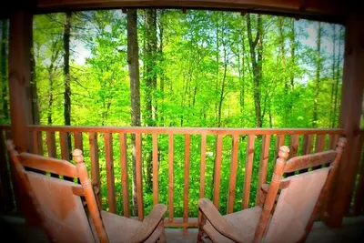 Image de Toujours mauvais comportement \\ animaux acceptés \\ bain à remous \\ wifi \\ cheminée \\ jacuzzi