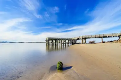 Image de studio oceanview niveau inférieur avec un balcon et accès à la plage à proximité - chiens Ok!