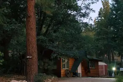 Image de Cabane Owl - Cabane Fawnskin confortable avec WiFi Location de vélo / kayak Gratuite 2 heures!