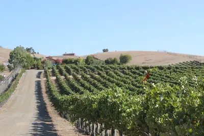 Image de Vues au milieu des vignes - Solitude avec Hacienda style