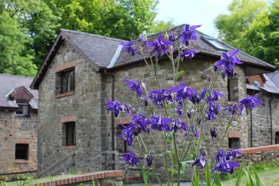 Image de Le vieux moulin. Entouré par plus de 450 acres de ferme biologique