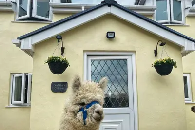 Image de Saddler's Cottage, Clunderwen