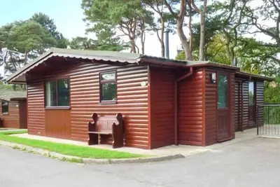Image de Perce-neige, Saltburn-By-The-Sea