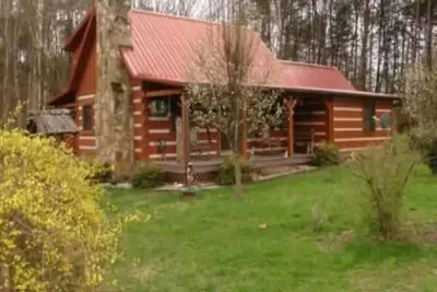 Image de Cozy Country Cabin Nouveau: bain à remous et douche extérieure! ! (pas de frais de nettoyage ajoutés)