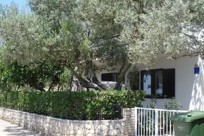 Image de Jardin - Terrasse - Barbecue