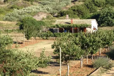 Image de Maison de style Robinson Crusoé avec le parking Podhumlje, Vis (K-13984)
