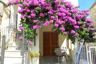 Image de Appartement d'une chambre avec la terrasse et la vue sur le mer Zadar - Diklo, Zadar (A-5767-a)