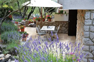 Image de Appartement d'une chambre avec la terrasse Cres (A-7876-a)
