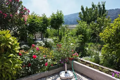 Image de Appartement d'une chambre avec la terrasse et la vue sur le mer Kampor, Rab (A-4972-a)