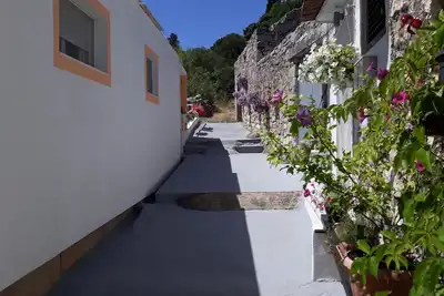 Image de Appartement d'une chambre avec la terrasse Tisno, Murter (A-4298-a)