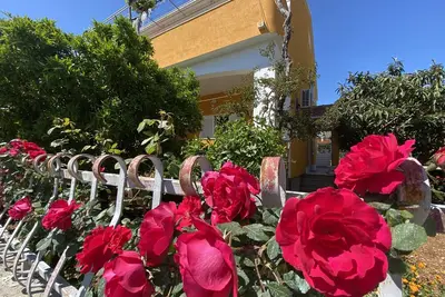 Image de Appartement de deux chambres avec la terrasse Orebic, Peljesac (A-4527-a)