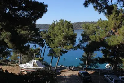 Image de Appartement d'une chambre avec la terrasse et la vue sur le mer Mali Losinj, Losinj (A-3444-a)