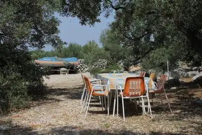 Image de Appartement de deux chambres avec le balcon et la vue sur le mer Bozava, Dugi otok (A-8123-c)