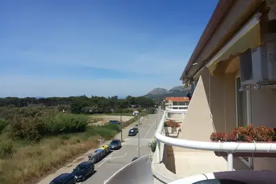 Image de Argonavis 319