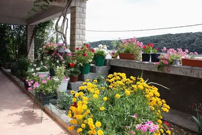 Image de Appartement d'une chambre avec la terrasse et la vue sur le mer Kampor, Rab (A-4984-b)