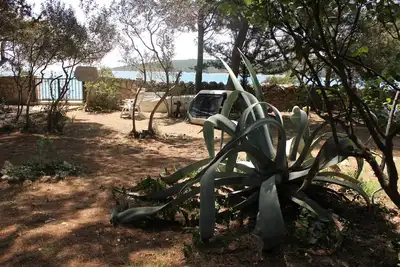 Image de Appartement d'une chambre prés de la plage Artatore, Losinj (A-7935-c)