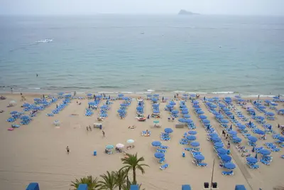 Image de Las Palmeras (Estudio) Benidorm