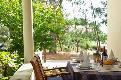 Image de Appartement d'une chambre prés de la plage Verunic, Dugi otok (A-8103-b)
