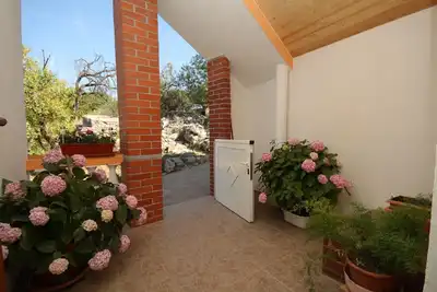 Image de Appartement d'une chambre avec la terrasse Sali, Dugi otok (A-8153-a)