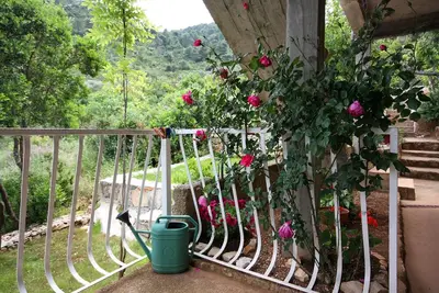 Image de Appartement d'une chambre prés de la plage Prozurska Luka, Mljet (A-4940-a)