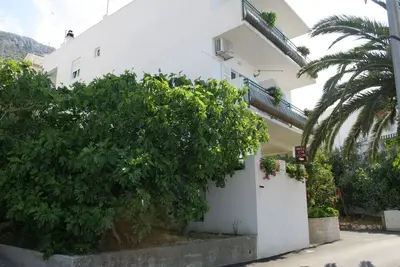 Image de Garçonnière prés de la plage Igrane, Makarska (As-2679-a)