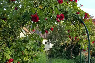 Image de Bel appartement au milieu de la région des lacs - appartement