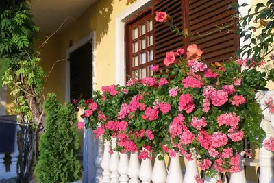 Appartements Vladislav (86331-A1) - Opatija