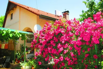 Image de Maison de vacances avec terrasse et barbecue
