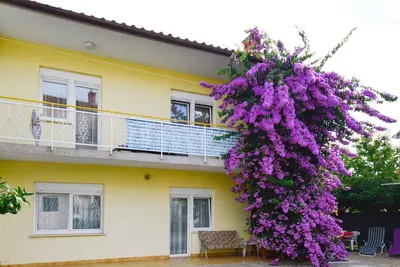 Image de Appartement de vacances avec terrasse et air conditionné