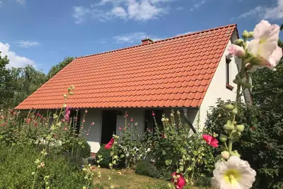 Image de Locations de vacances Michaelis 5 à Quilitz - Maison 5