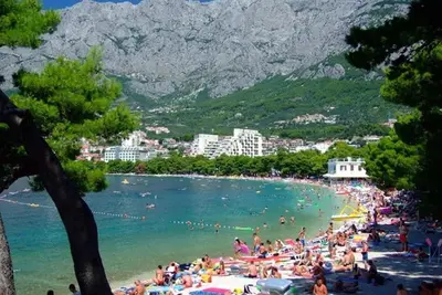 Image de Appartement de vacances 100 m de l'Adriatique