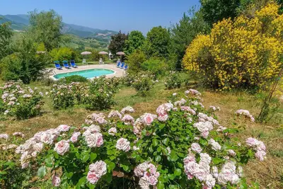 Image de Rondine