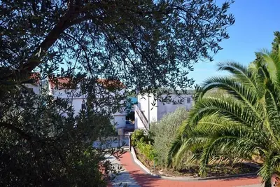 Image de Appartements Rosanda (20441-A2) - Pirovac