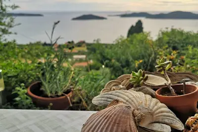 Image de Appartement Miho (52181-A1) - Trsteno