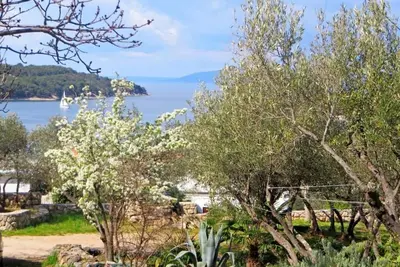 Image de Appartements Marija (67811-A3) - Cres - île de Cres