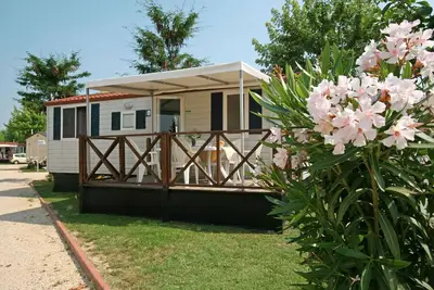 Maison mobile Camping Butterfly ****